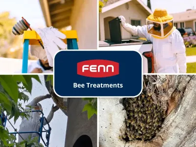 fenn_yelp-portfolio_bee-treatments_1