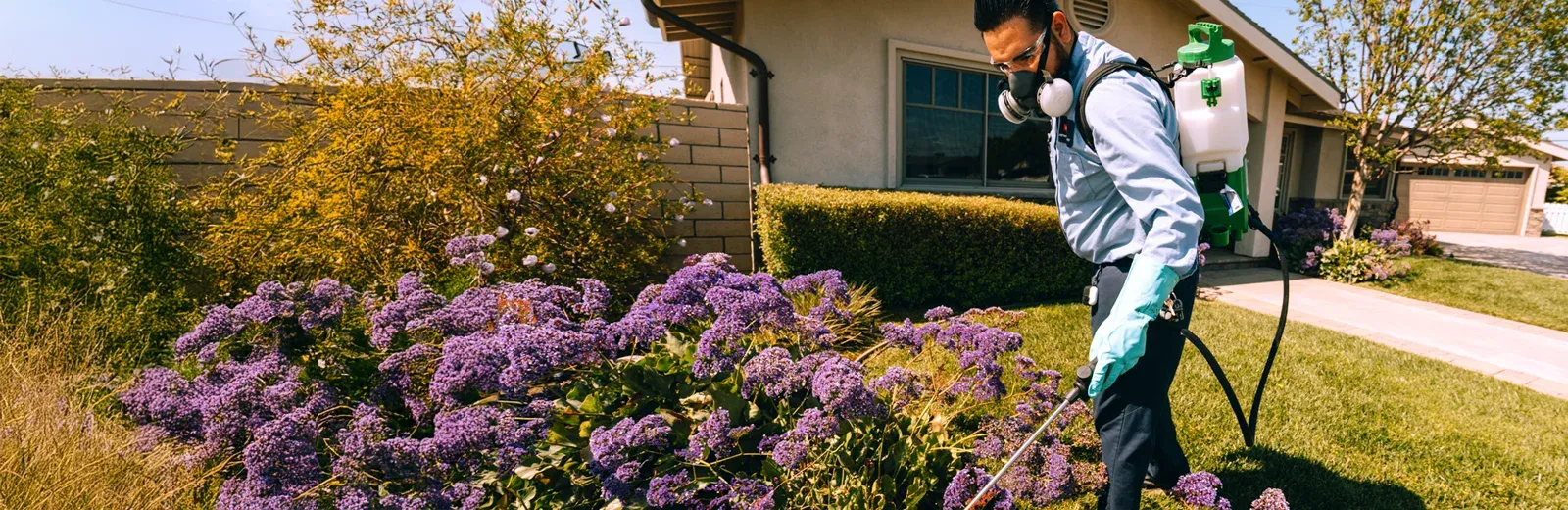 fenn-hero-pest-control