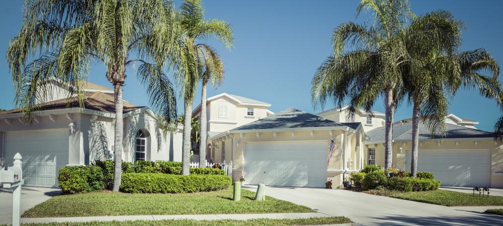 white house with palm trees