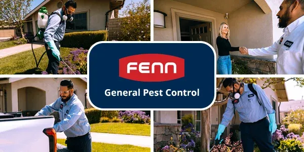 fenn-pest-general-pest-control