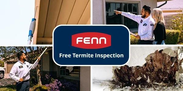fenn-termite-inspection-alt